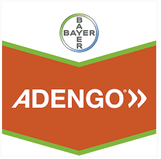 adengo-logo_1.png