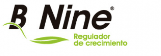 b-nine-logo.png