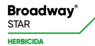 broadwaystar-logo_1.jpg