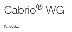 cabrio-wg-logo.png