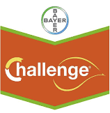 challenge-logo.png