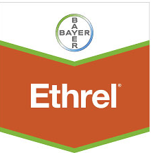 ethrel-logo_1.png