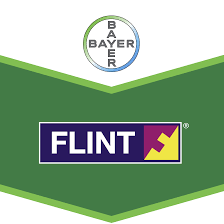 flint-logo_1.png