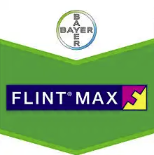 flint-max-logo_1.png