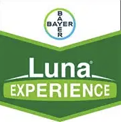 luna-experience-logo_1.png