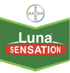 luna-sensation-logo.png