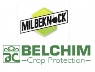 milbeknock-logo.png