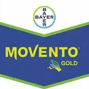 movento-gold-logo_1.png