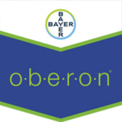 oberon-logo_1.png