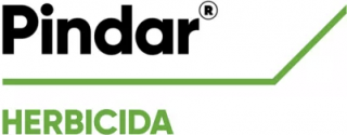 pindar-logo.png
