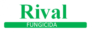 rival-logo.png