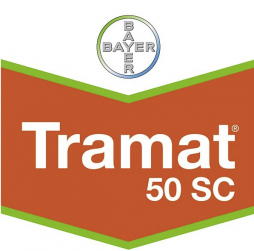 tramat-50-logo_1.png
