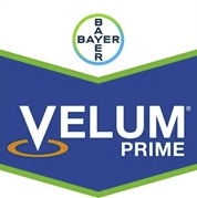velum-prime-logo_1.png