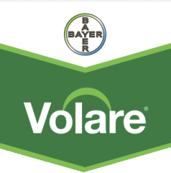 volare-logo_1.png