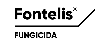 fontelis-logo.png