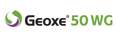 geoxe-50-wg-logo.png