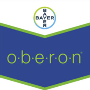oberon-logo_1.png