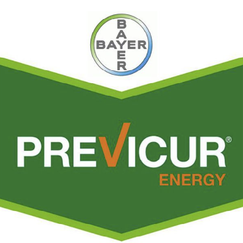 previcur-energy-logo.png