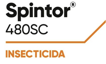 spintor-logo.png