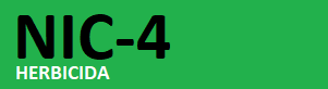 nic-4.png