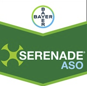 serenade-aso.png