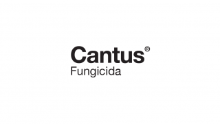 cantus-logo.png
