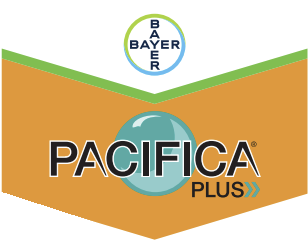 pacifica-plus-logo_1.png