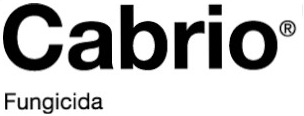 cabrio-logo.png