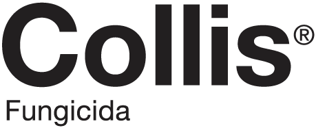 collis-logo_1.png