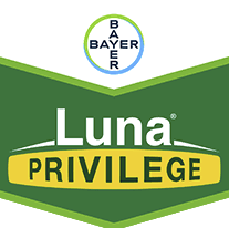 luna-privilege-logo.png