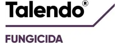 talendo-logo.png