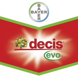 decis-evo.png