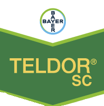 teldor-sc-logo.png