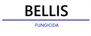 bellis-logo_1.png