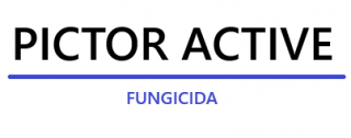 pictor-active_1.png
