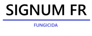 signum-fr-logo_1.png