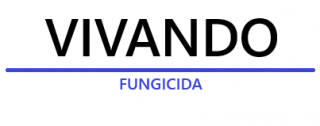 vivando-logo_1.png
