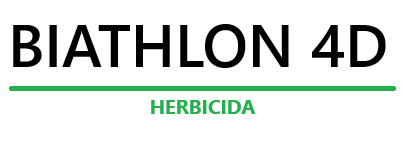 biathlon-4d_1.png