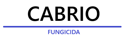 cabrio-logo_1.png