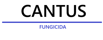 cantus-logo_1.png