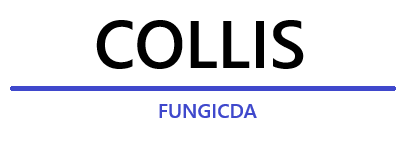collis-logo_1.png