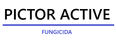pictor-active_1.png
