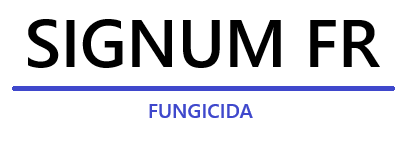 signum-fr-logo_1.png