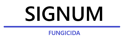 signum-logo_1.png