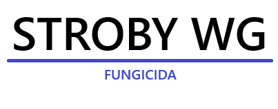 stroby-wg-logo_1.png