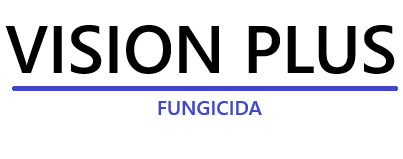 vision-plu-logo_1.png