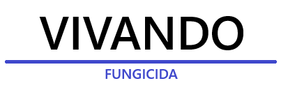 vivando-logo_1.png