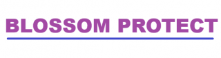 blossom-protect-logo.png
