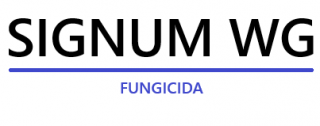 signum-wg-logo.png