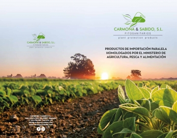 dosier-carmonaysabido-sl.jpg
